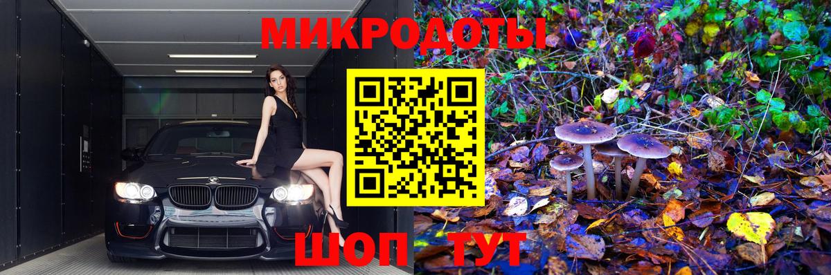 Псилоцибиновые грибы MAGIC MUSHROOMS  Галлюциногенные грибы MAGIC MUSHROOMS  Тамбов  Вход с VPN 