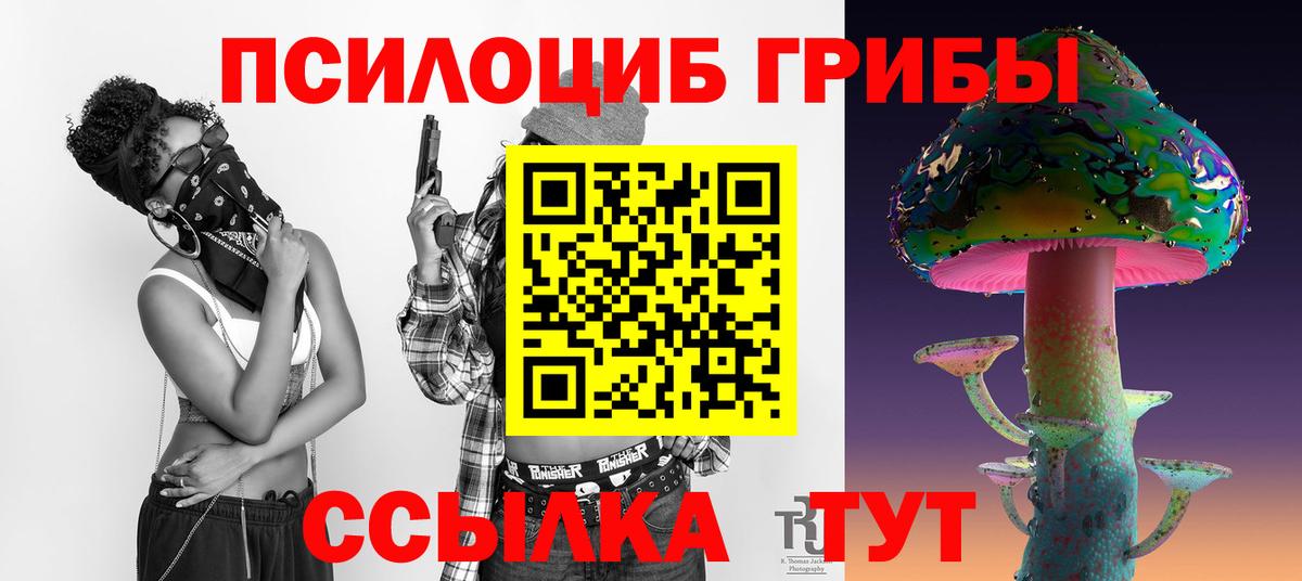 Галлюциногенные грибы прущие грибы Тамбов