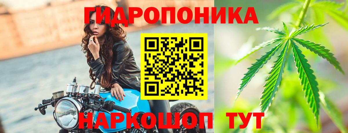 Бошки Шишки Amnesia Тамбов